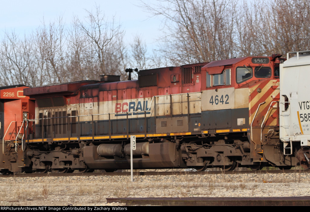 BCOL 4642